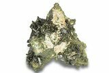 Lustrous, Epidote Crystal Cluster on Actinolite - Pakistan #257759-1